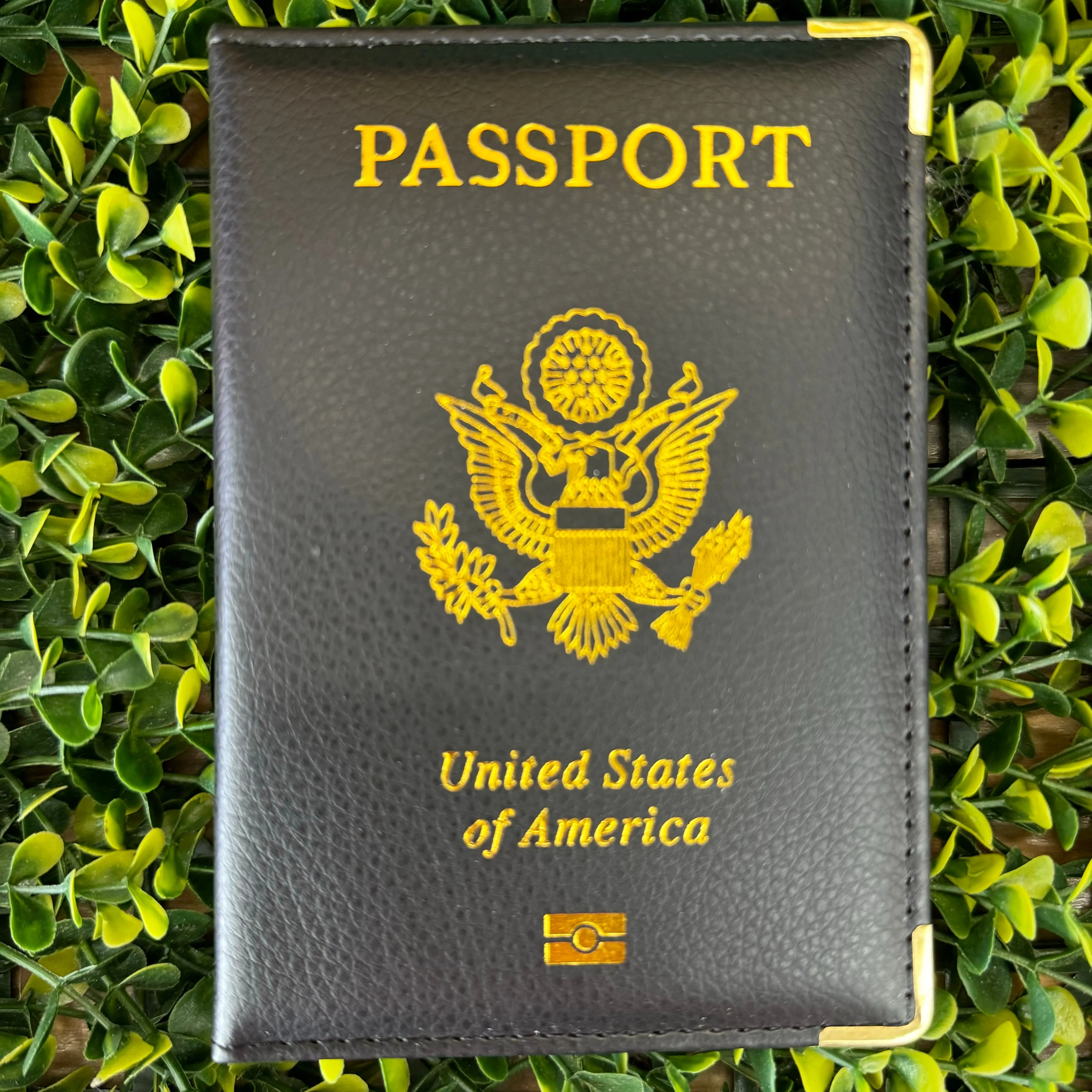 Black Passport Holder