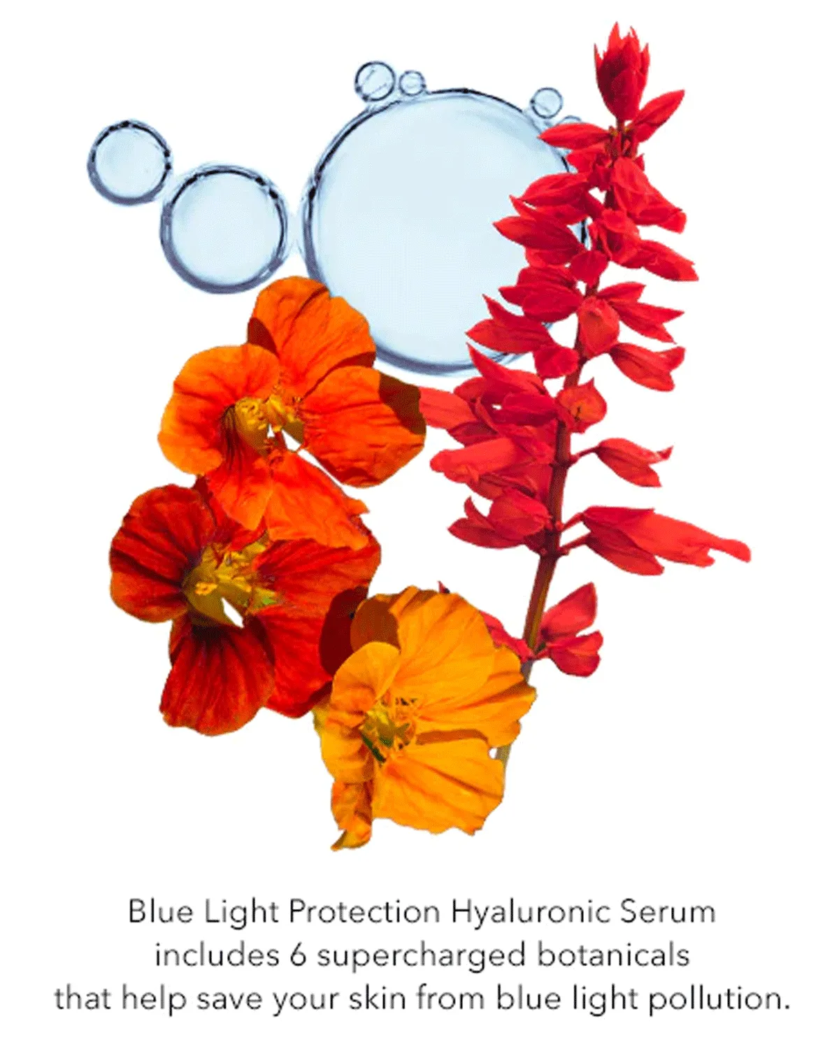 Blue Light Protection Hyaluronic Serum